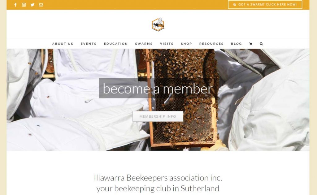 illawarra beekeepers website slider